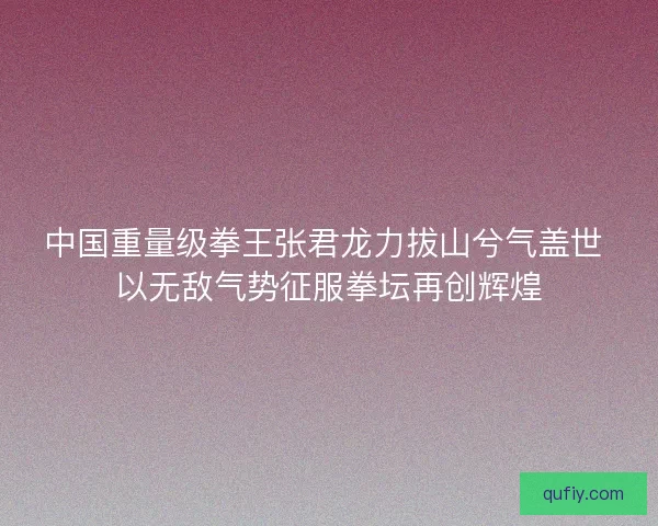 中国重量级拳王张君龙力拔山兮气盖世 以无敌气势征服拳坛再创辉煌